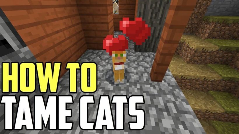 How to Tame Cats in Minecraft?