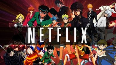 What is the Netflix Code for Anime